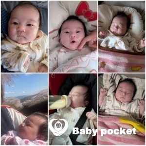 サンドラちゃん1ヶ月健診とお宮参りの報告