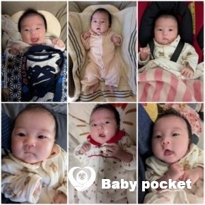 サンドラちゃん1ヶ月健診とお宮参りの報告